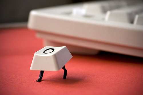 1102090491_66ddc2d79c 1102090491_66ddc2d79c